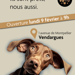 post-ouverture-01