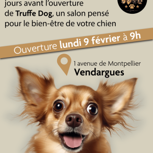 post-ouverture-02