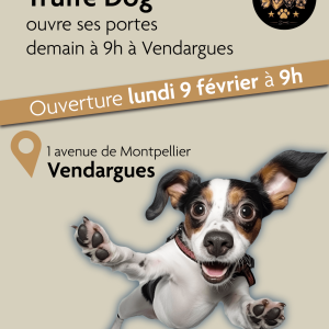 post-ouverture-03