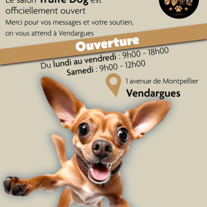 post-ouverture-04